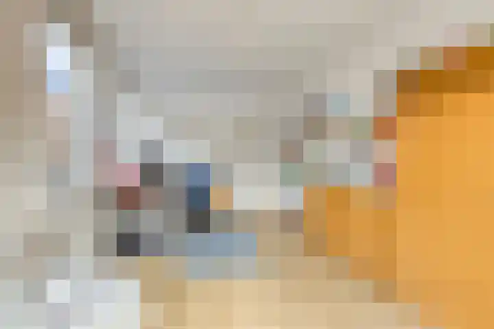 Suijlke 8 Mierlo thumbnail 38