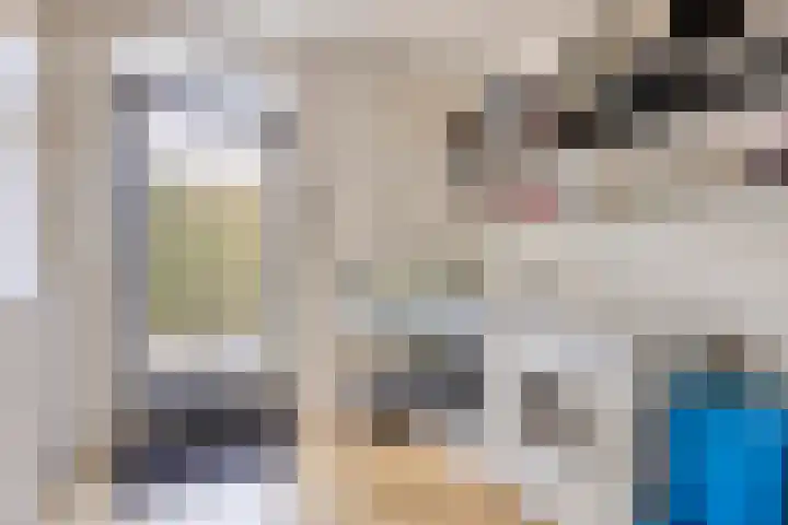 Suijlke 8 Mierlo thumbnail 39