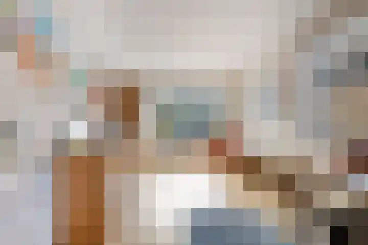 Suijlke 8 Mierlo thumbnail 4