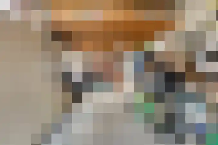 Suijlke 8 Mierlo thumbnail 42
