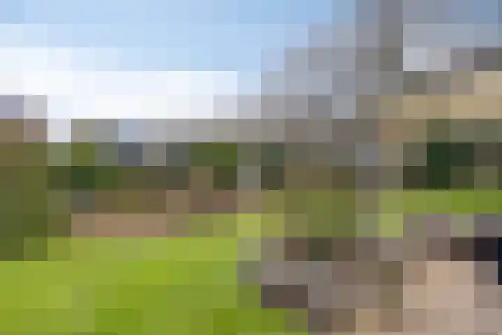 Suijlke 8 Mierlo thumbnail 46