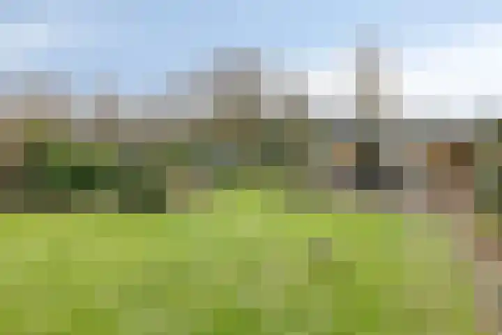 Suijlke 8 Mierlo thumbnail 47