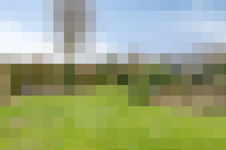 Suijlke 8 Mierlo thumbnail 48