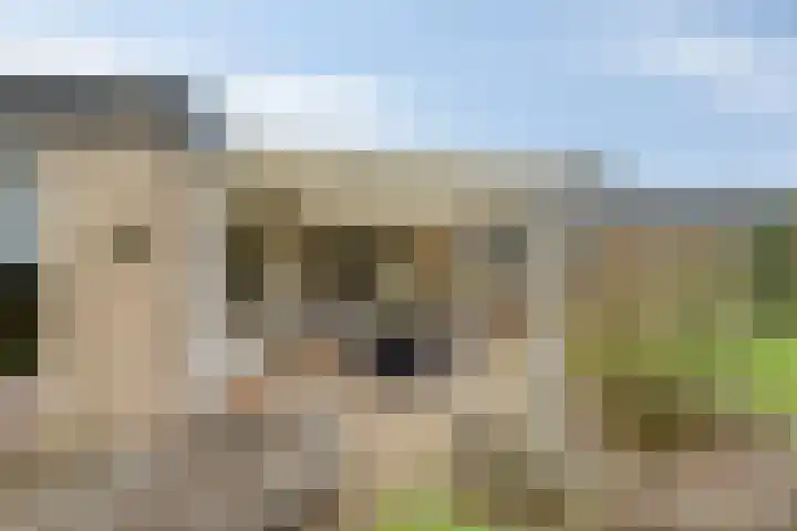 Suijlke 8 Mierlo thumbnail 49