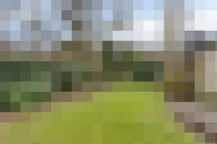 Suijlke 8 Mierlo thumbnail 50