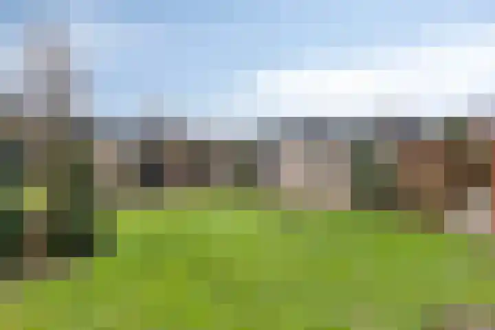 Suijlke 8 Mierlo thumbnail 51