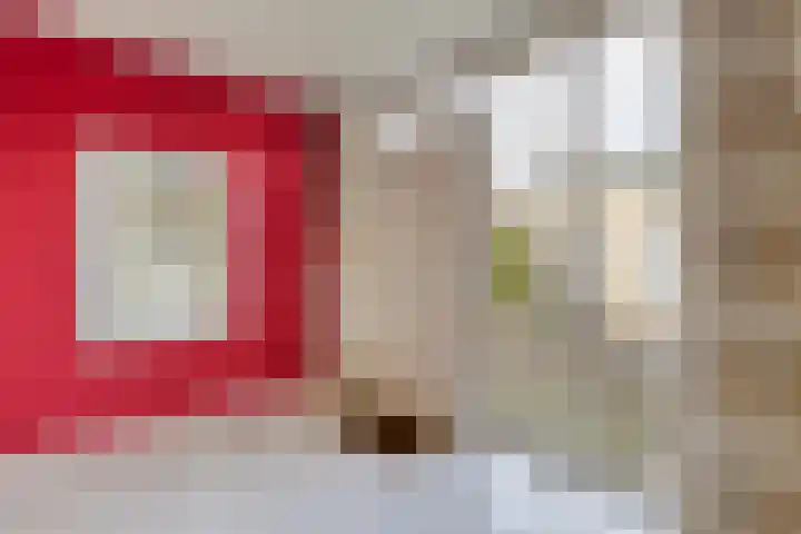 Suijlke 8 Mierlo thumbnail 8