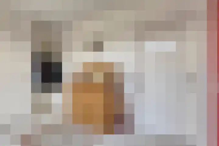 Suijlke 8 Mierlo thumbnail 9