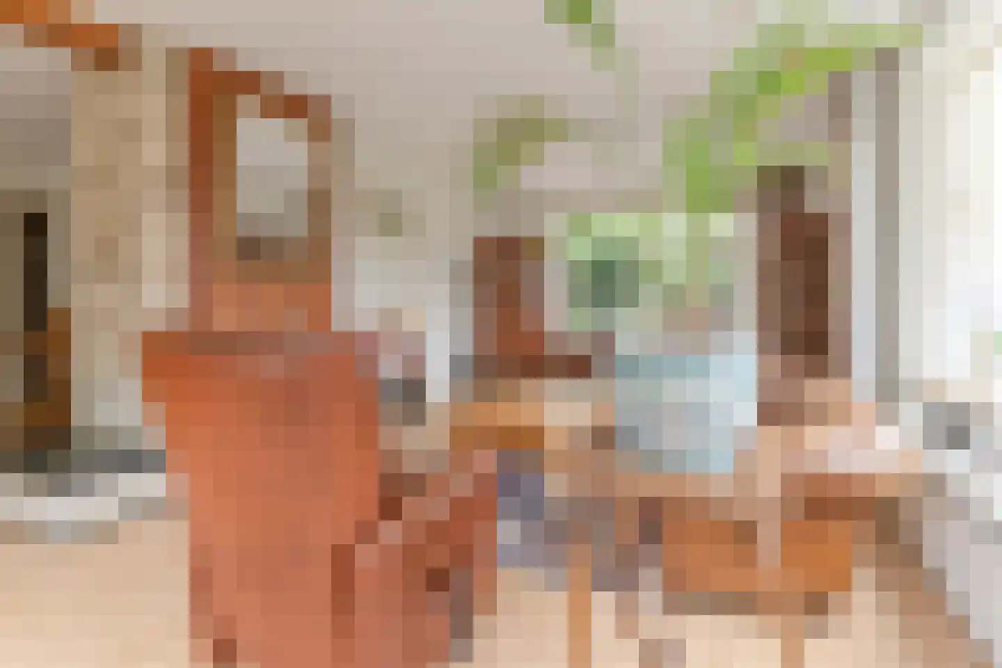 Suikerbakker 14 Ermelo thumbnail 11