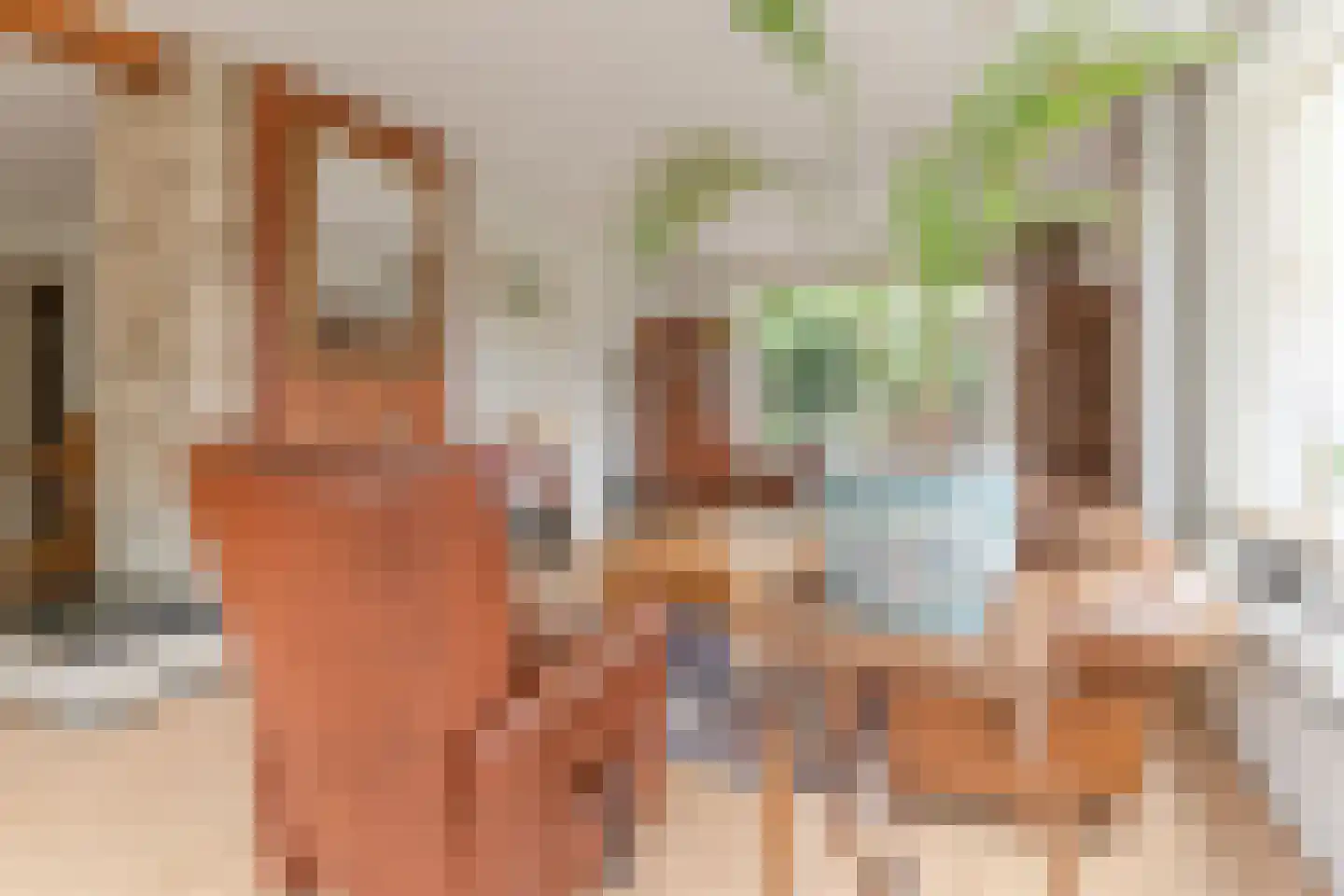 Suikerbakker 14 Ermelo thumbnail 12