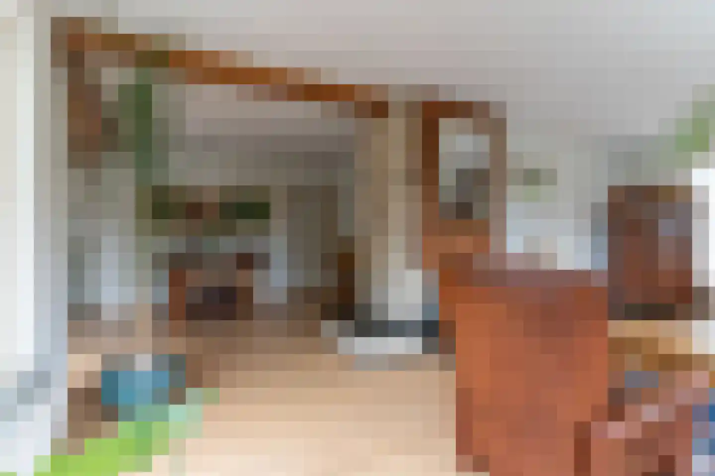 Suikerbakker 14 Ermelo thumbnail 13
