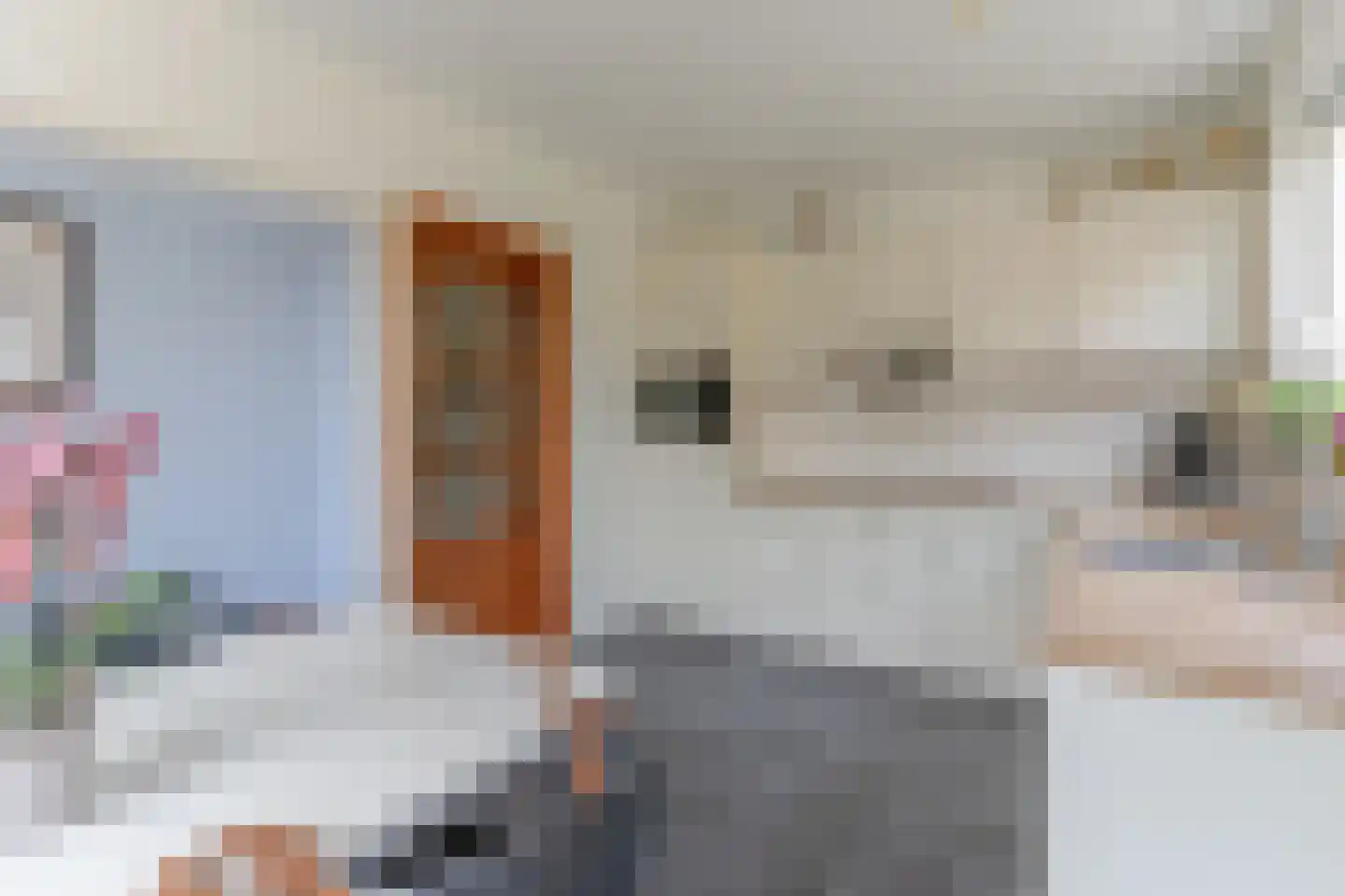 Suikerbakker 14 Ermelo thumbnail 20