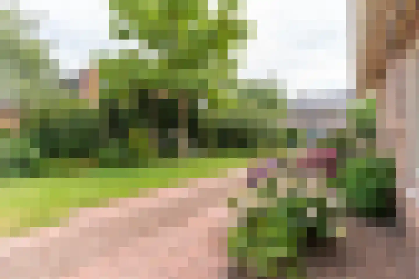 Suikerbakker 14 Ermelo thumbnail 29