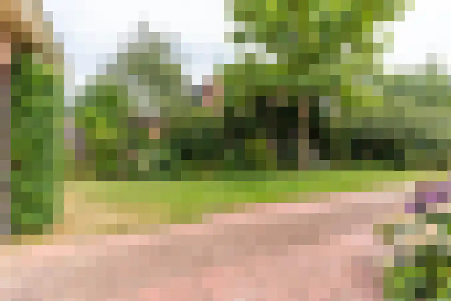 Suikerbakker 14 Ermelo thumbnail 30