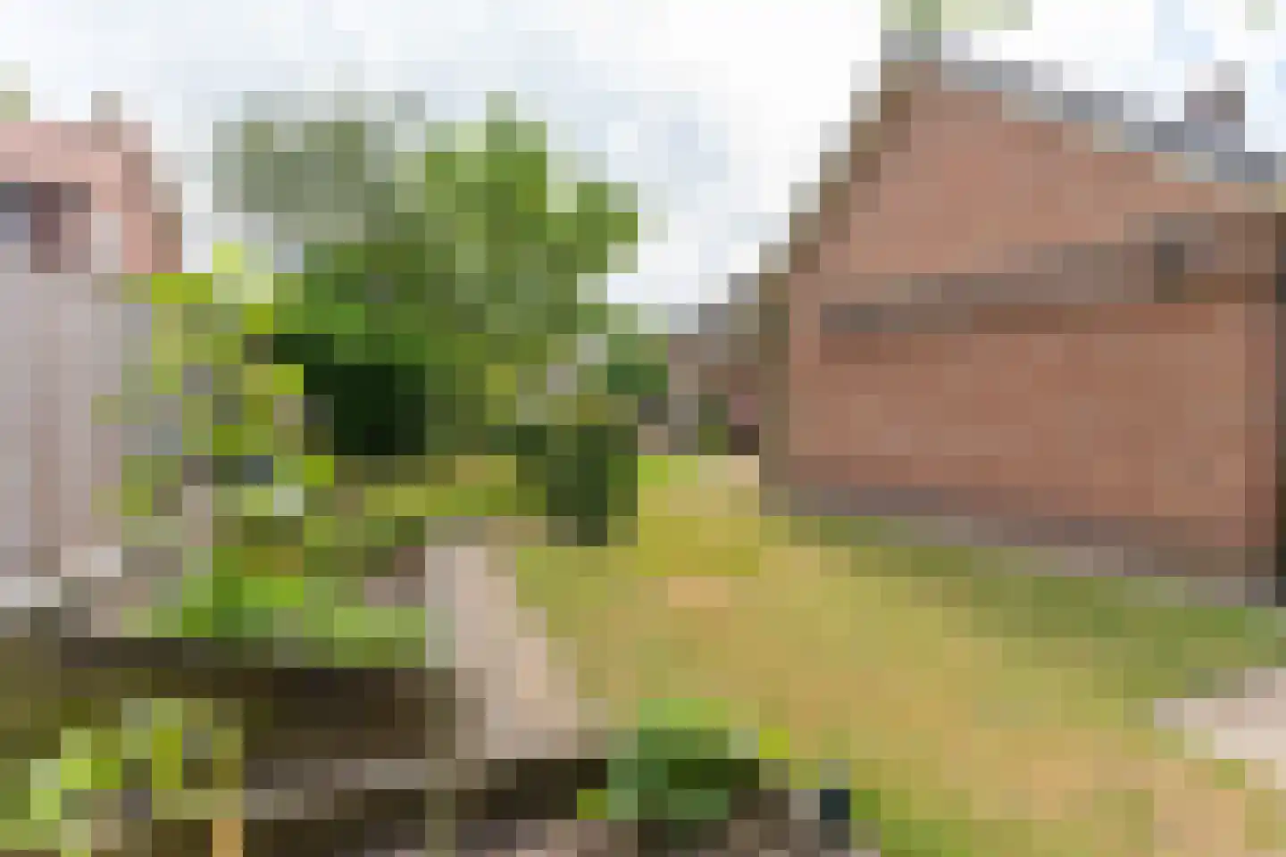 Suikerbakker 14 Ermelo thumbnail 32