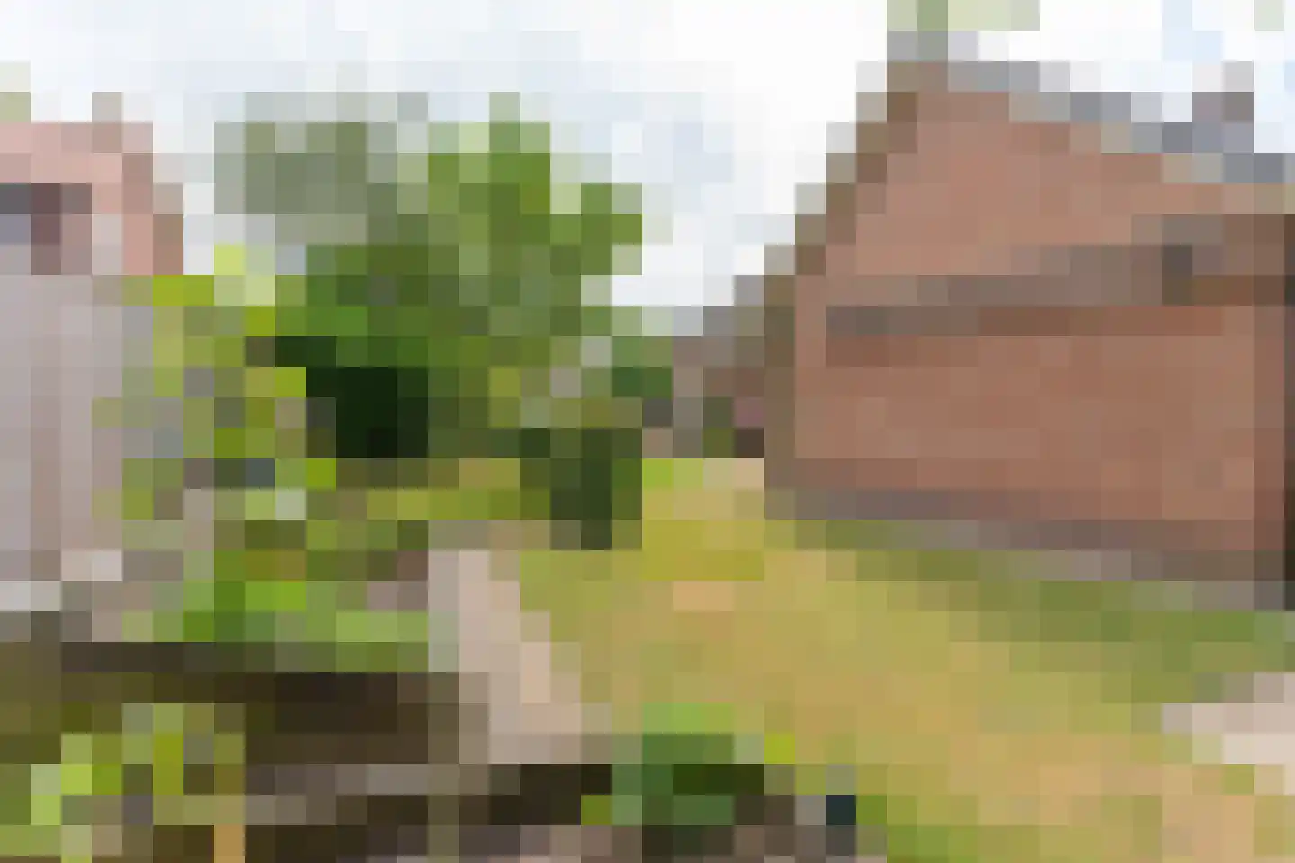 Suikerbakker 14 Ermelo thumbnail 33