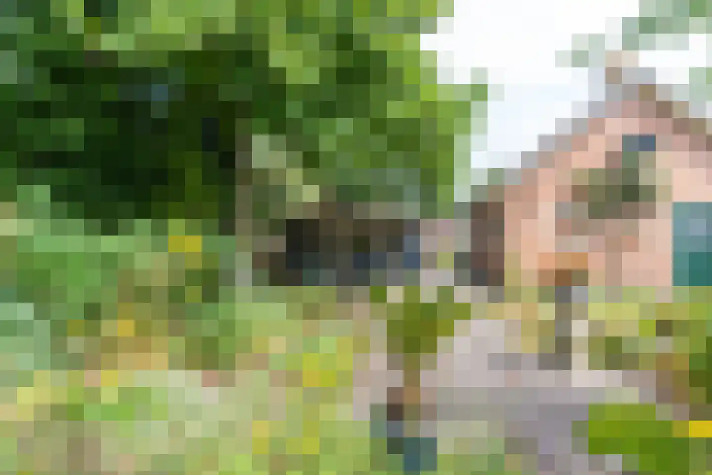 Suikerbakker 14 Ermelo thumbnail 34