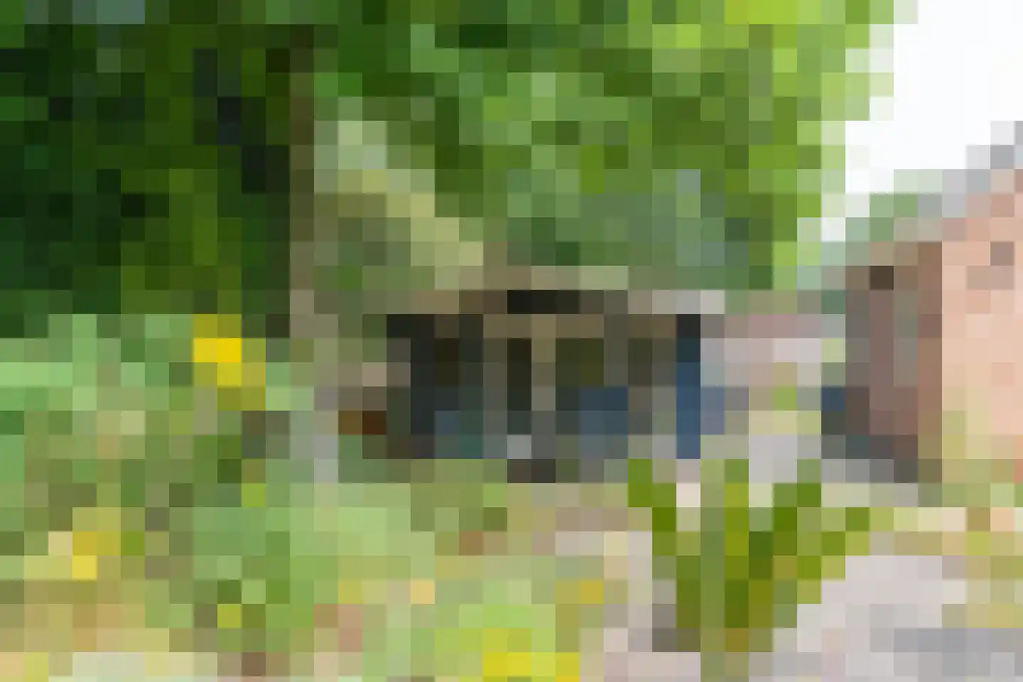 Suikerbakker 14 Ermelo thumbnail 35