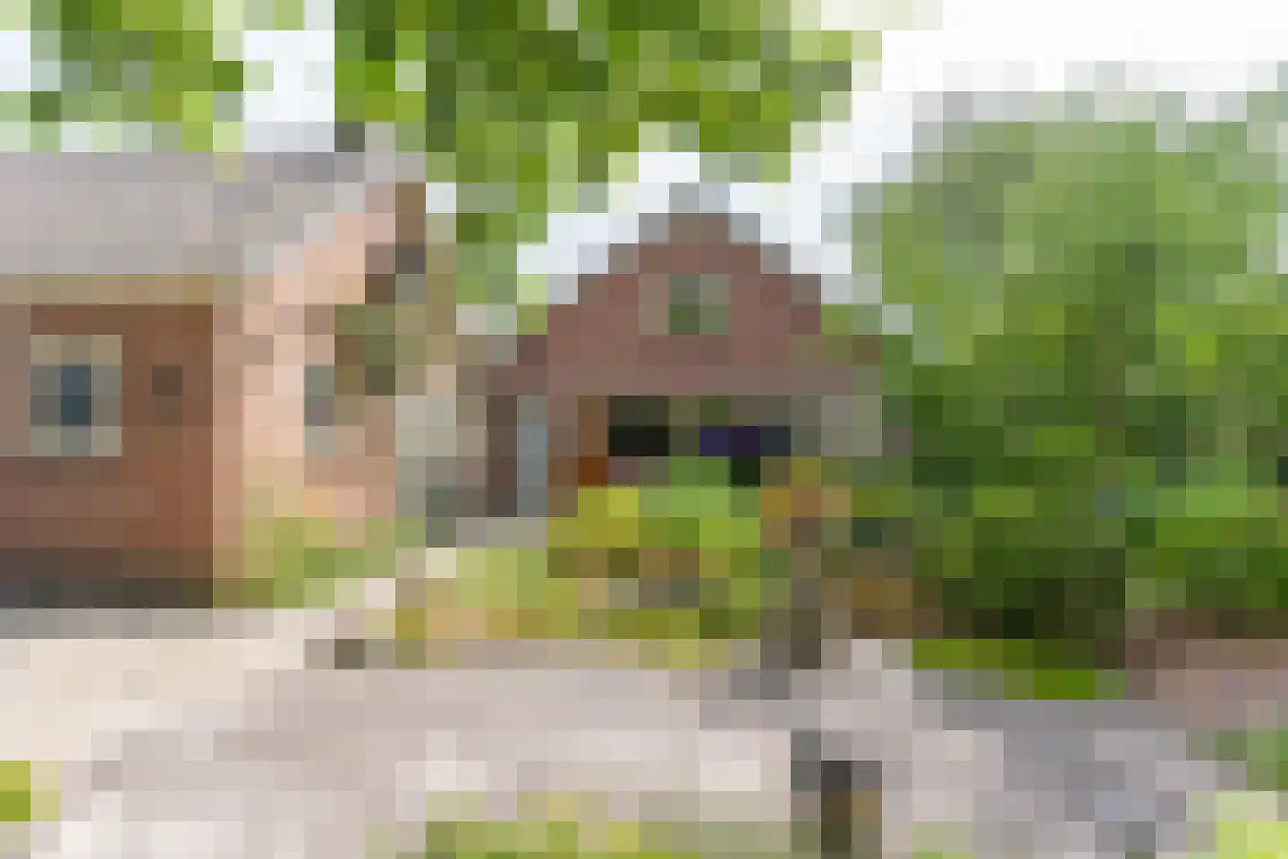Suikerbakker 14 Ermelo thumbnail 36