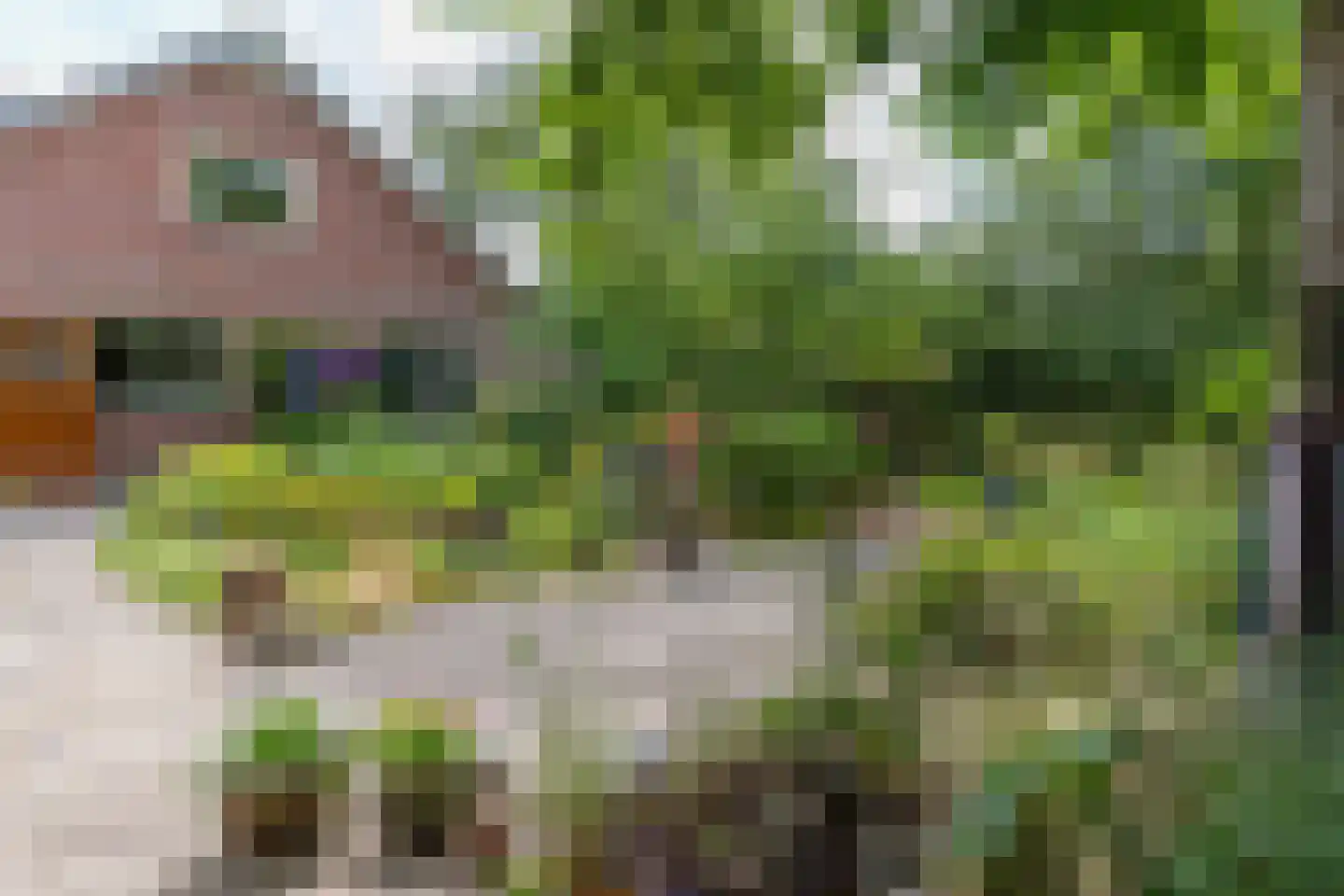 Suikerbakker 14 Ermelo thumbnail 37