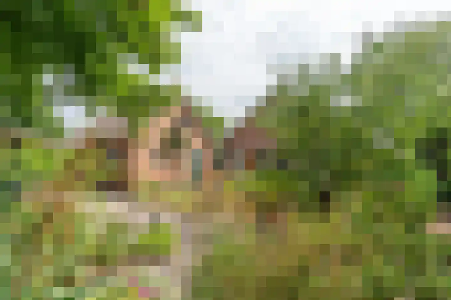 Suikerbakker 14 Ermelo thumbnail 38