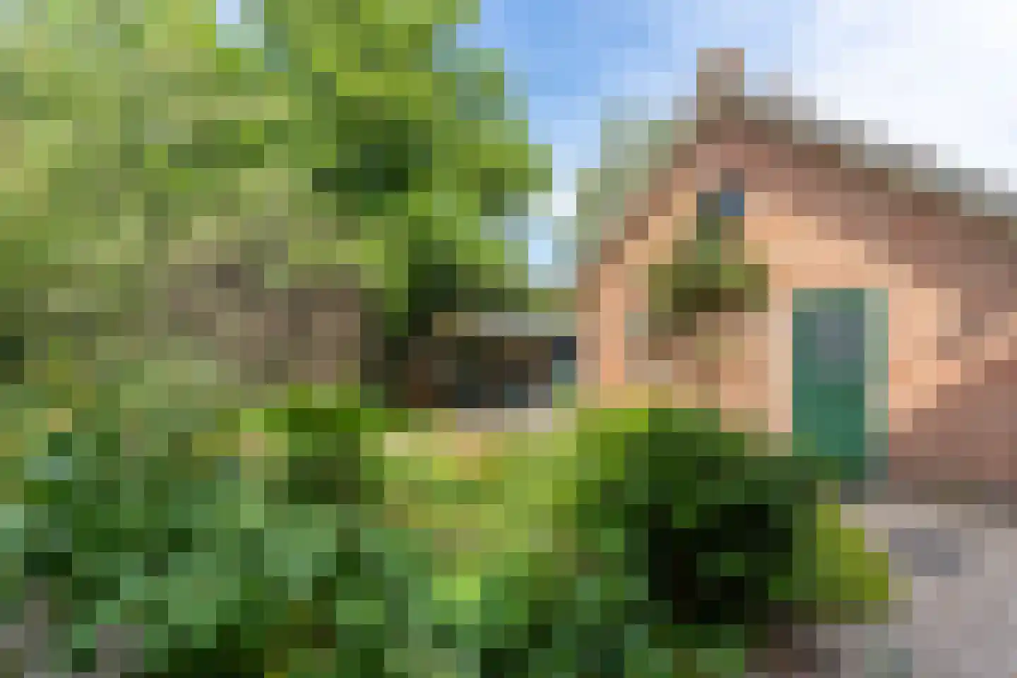 Suikerbakker 14 Ermelo thumbnail 39