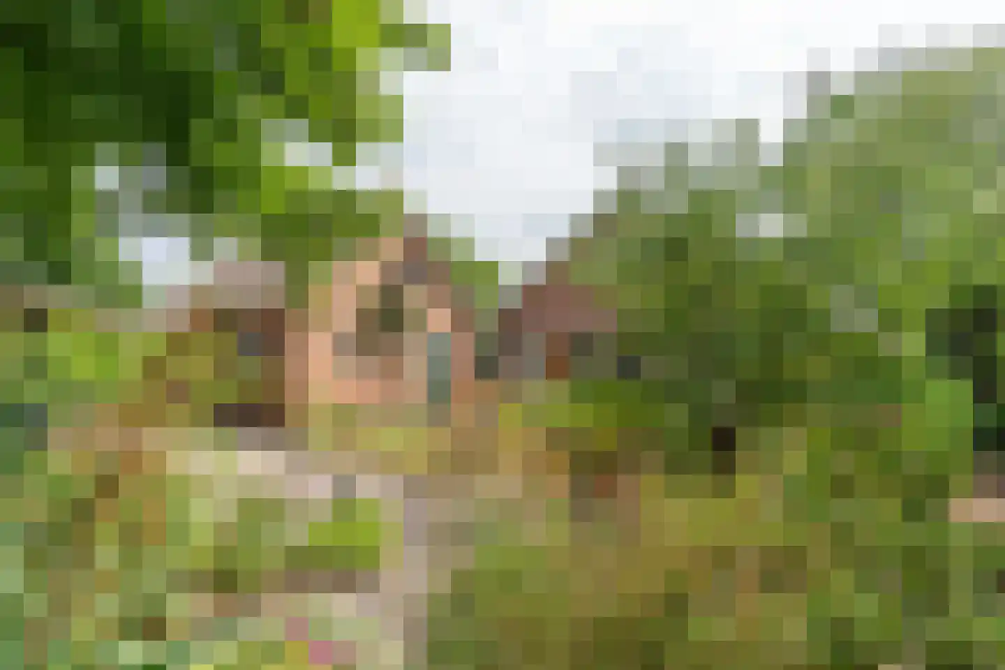 Suikerbakker 14 Ermelo thumbnail 39