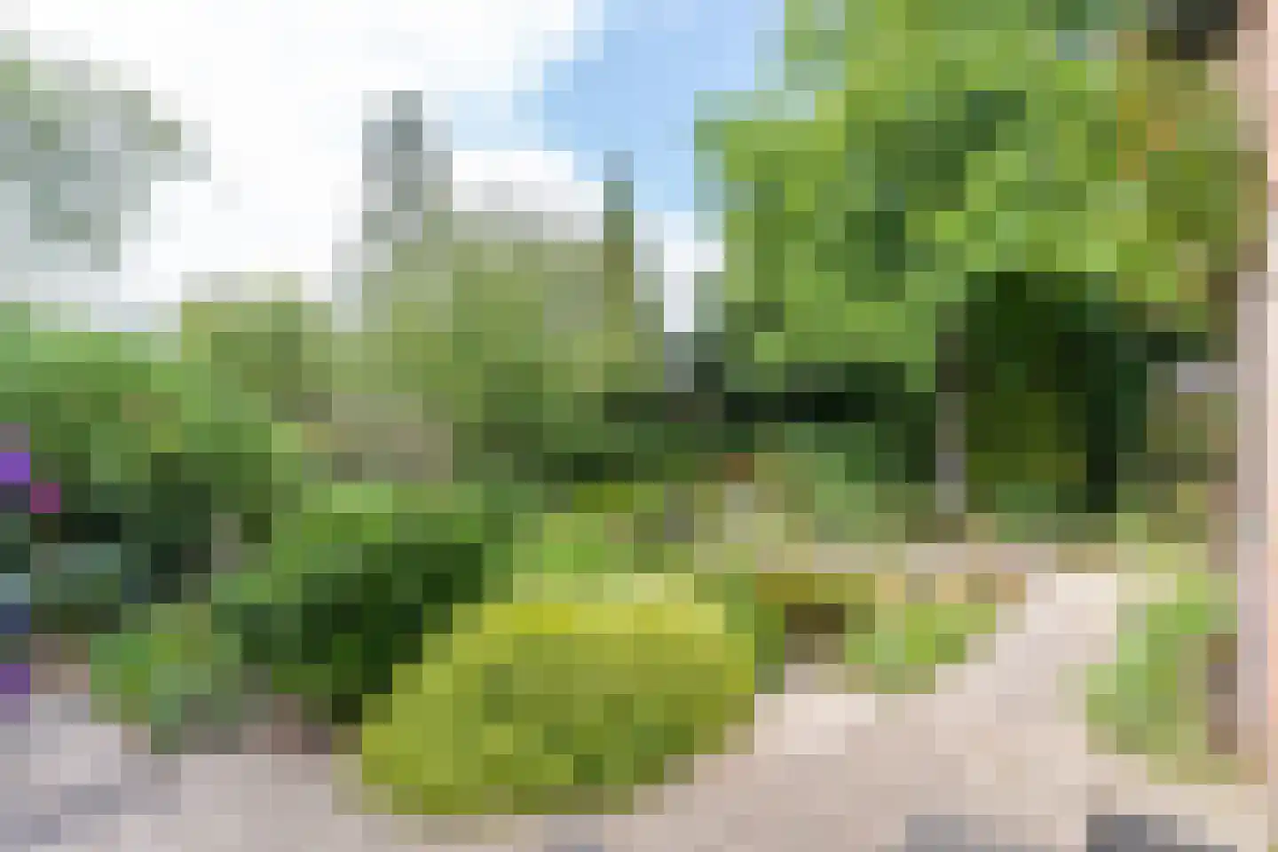 Suikerbakker 14 Ermelo thumbnail 40
