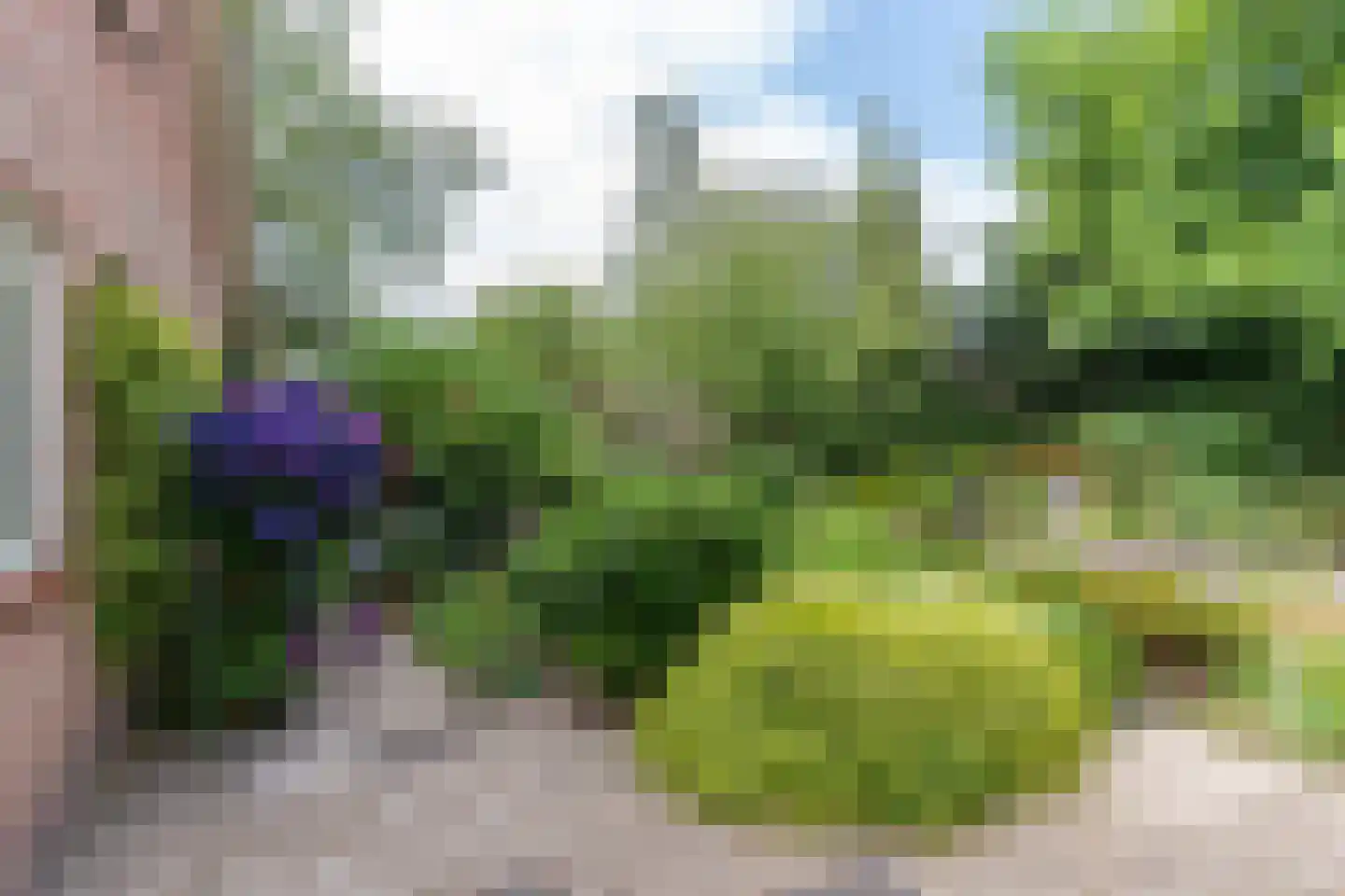 Suikerbakker 14 Ermelo thumbnail 41