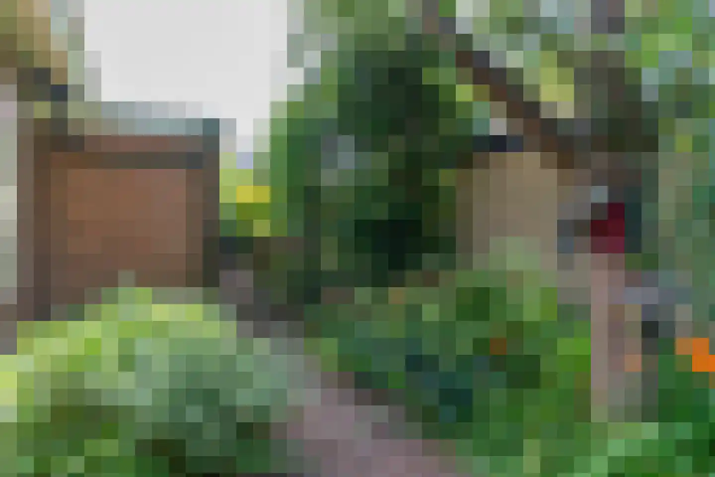 Suikerbakker 14 Ermelo thumbnail 43