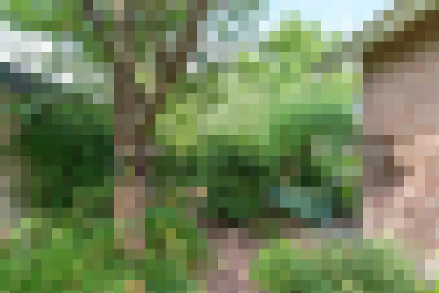 Suikerbakker 14 Ermelo thumbnail 43