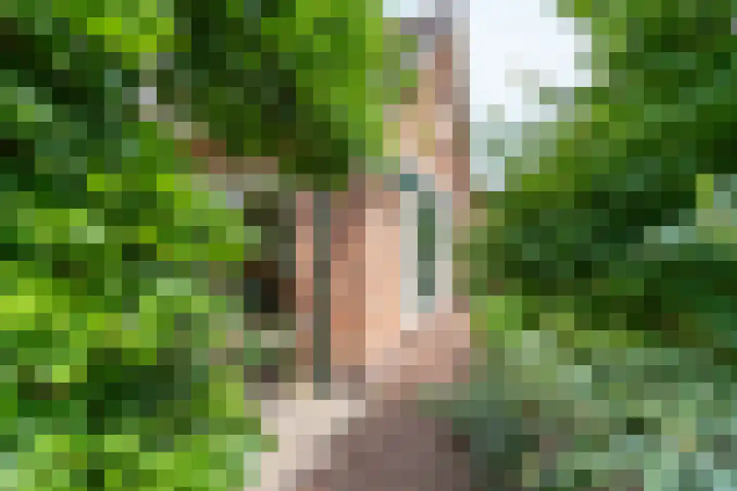 Suikerbakker 14 Ermelo thumbnail 44
