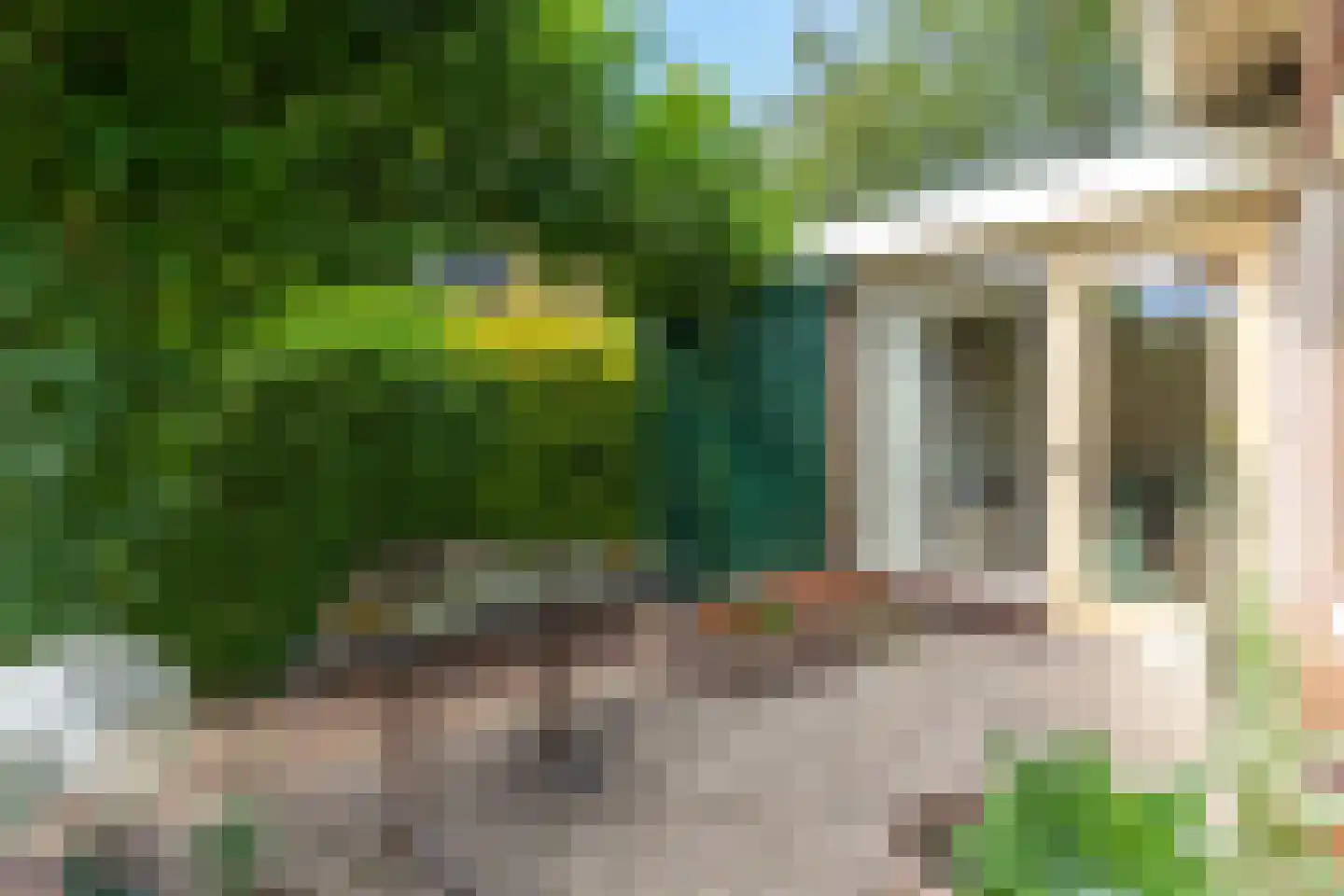 Suikerbakker 14 Ermelo thumbnail 45