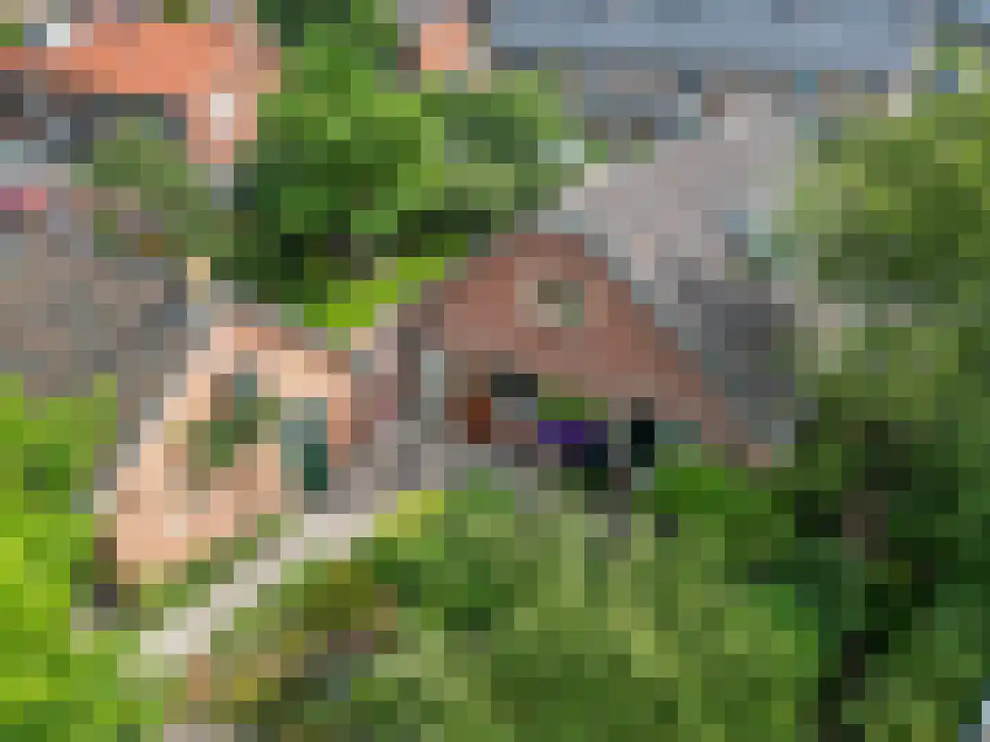 Suikerbakker 14 Ermelo thumbnail 46