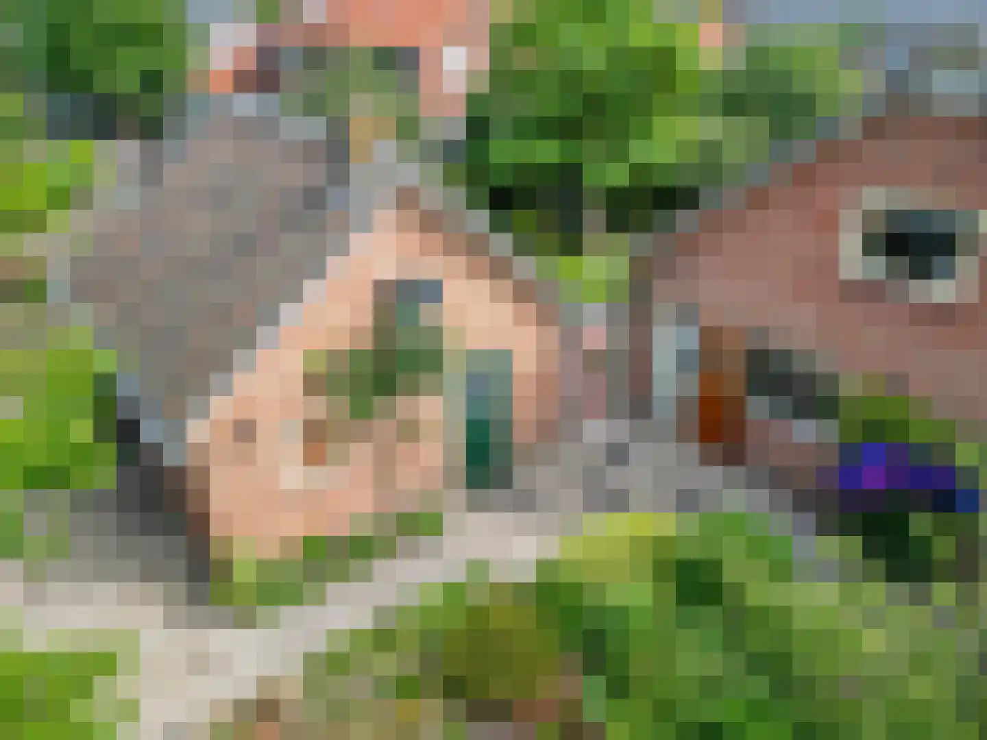 Suikerbakker 14 Ermelo thumbnail 47