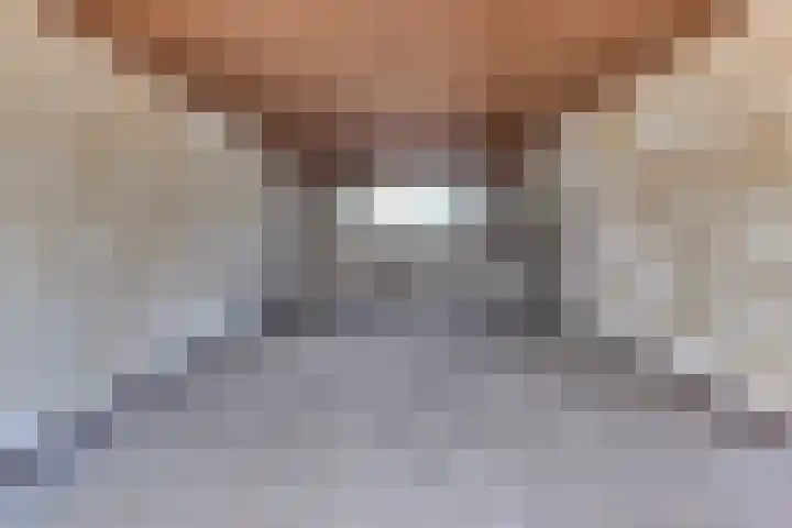 Suikerbakker 16 Ermelo thumbnail 10
