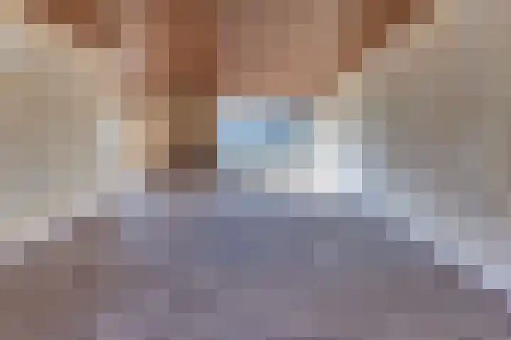 Suikerbakker 16 Ermelo thumbnail 12