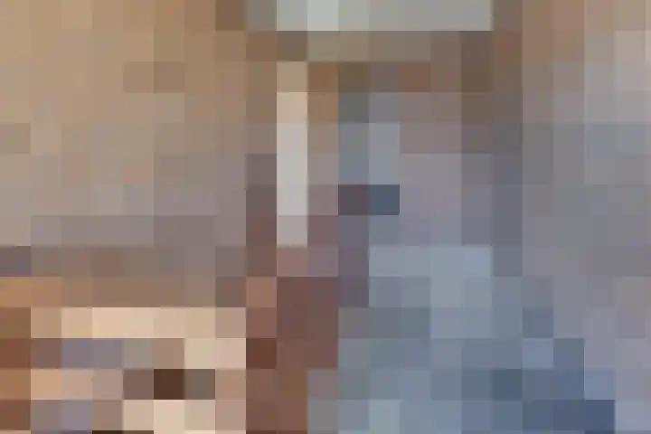 Suikerbakker 16 Ermelo thumbnail 18