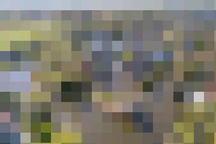 Suikerbakker 16 Ermelo thumbnail 23