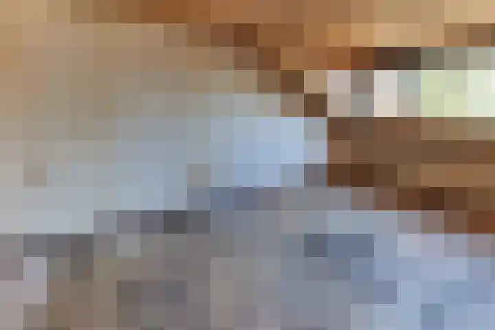 Suikerbakker 16 Ermelo thumbnail 25