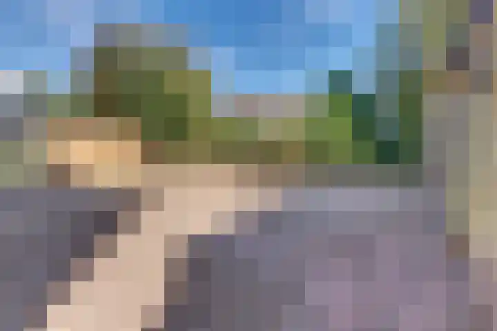 Suikerbakker 16 Ermelo thumbnail 31