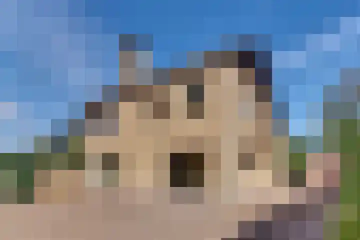 Suikerbakker 16 Ermelo thumbnail 42