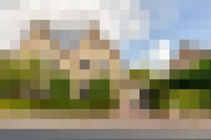 Suikerbakker 55 A Ermelo thumbnail 30