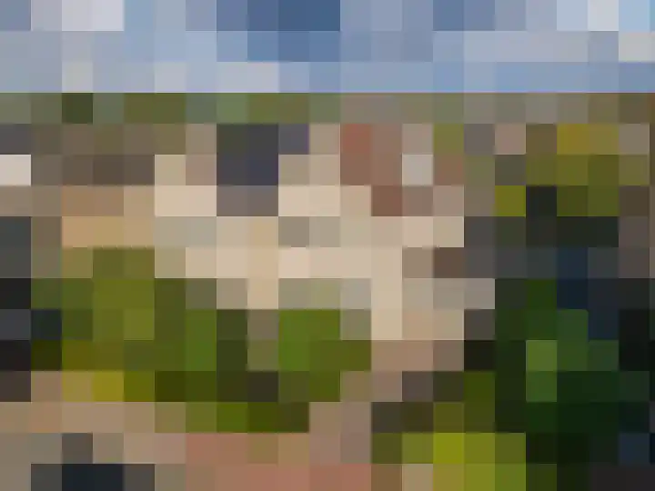 Suikerbakker 55 A Ermelo thumbnail 37