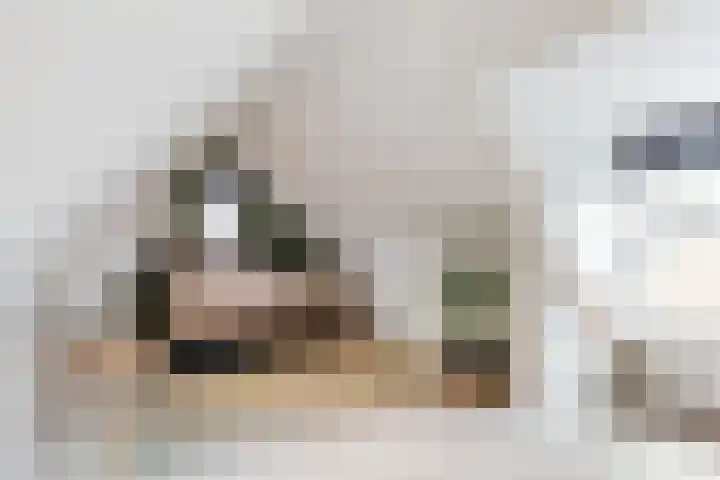 Suikerbakker 55 A Ermelo thumbnail 5
