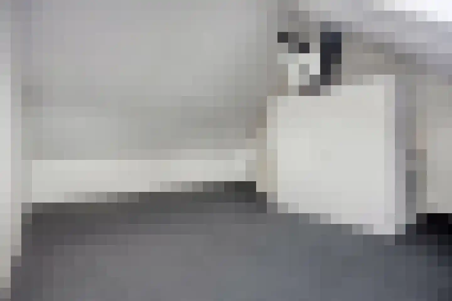Suikerdoossingel 21 Maasbracht thumbnail 34
