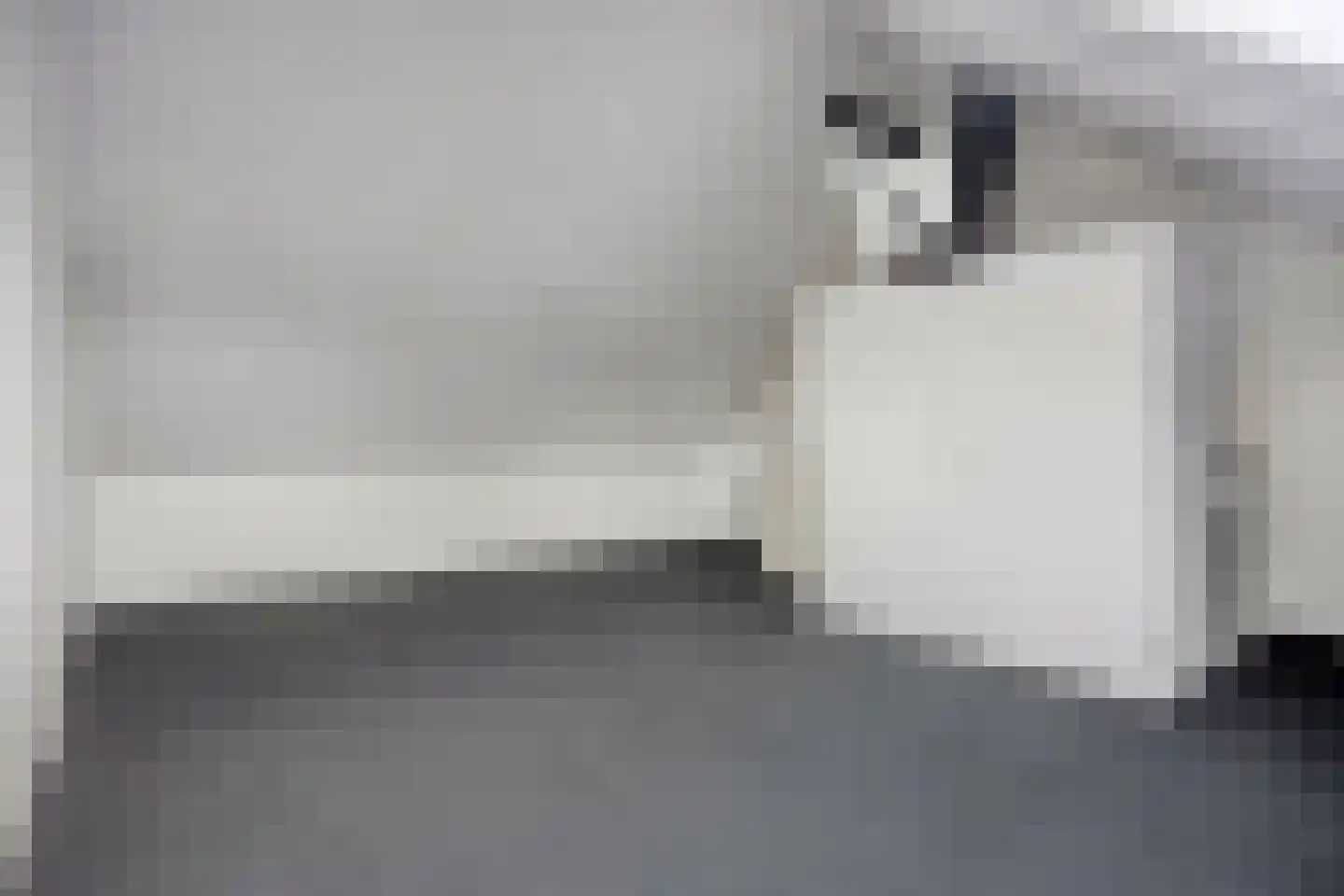 Suikerdoossingel 21 Maasbracht thumbnail 35