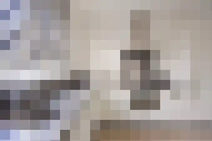 Suikerdoossingel 25 Maasbracht thumbnail 13