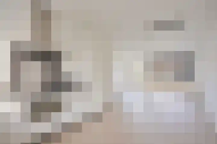 Suikerdoossingel 25 Maasbracht thumbnail 14
