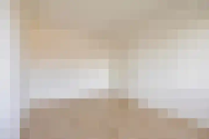 Suikerdoossingel 25 Maasbracht thumbnail 17